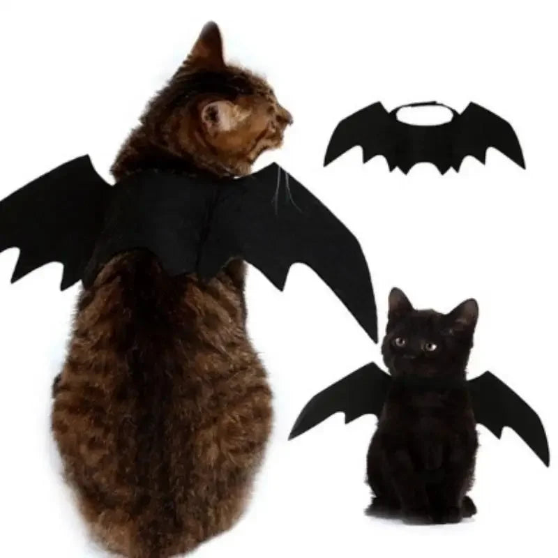 BatWing Pet Halloween Costume