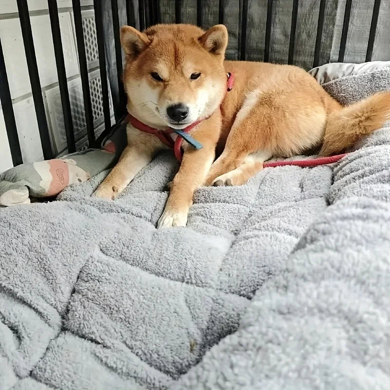 Bailey Plush Pet Bed Mat
