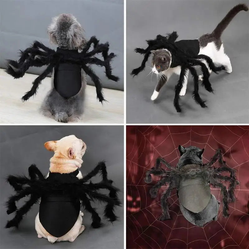 Spooky Spider Pet Costume