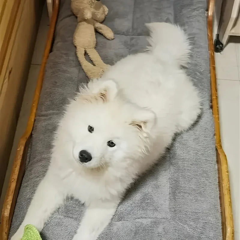 Bailey Plush Pet Bed Mat