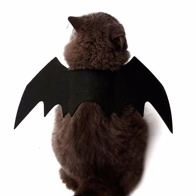 BatWing Pet Halloween Costume