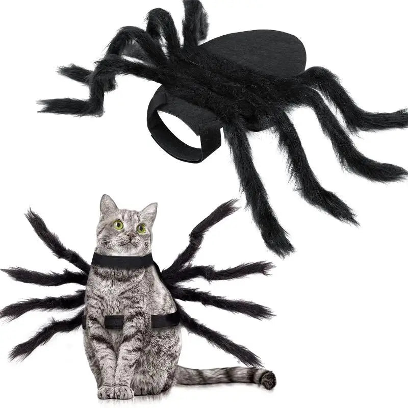 Spooky Spider Pet Costume
