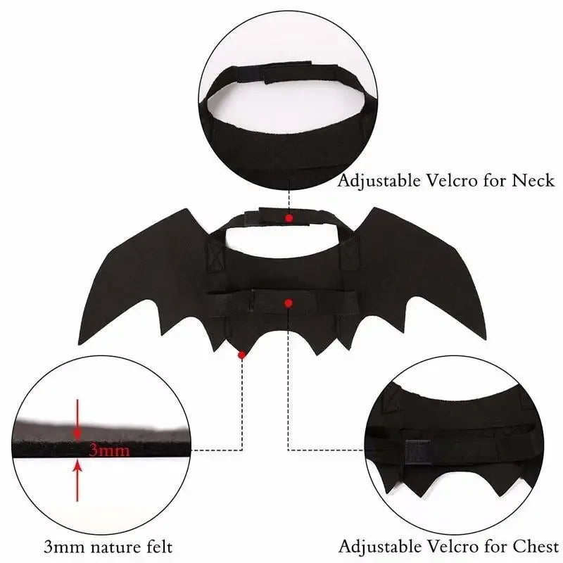 BatWing Pet Halloween Costume