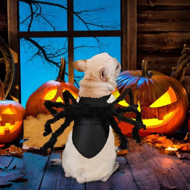 Spooky Spider Pet Costume