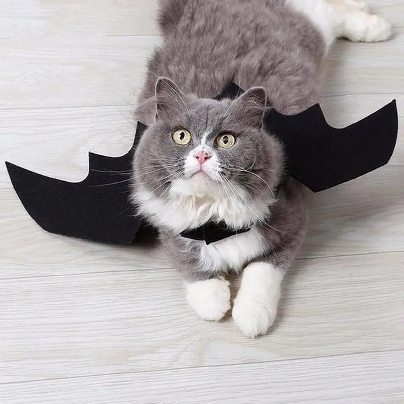 BatWing Pet Halloween Costume
