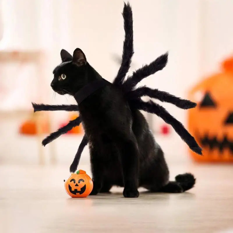Spooky Spider Pet Costume