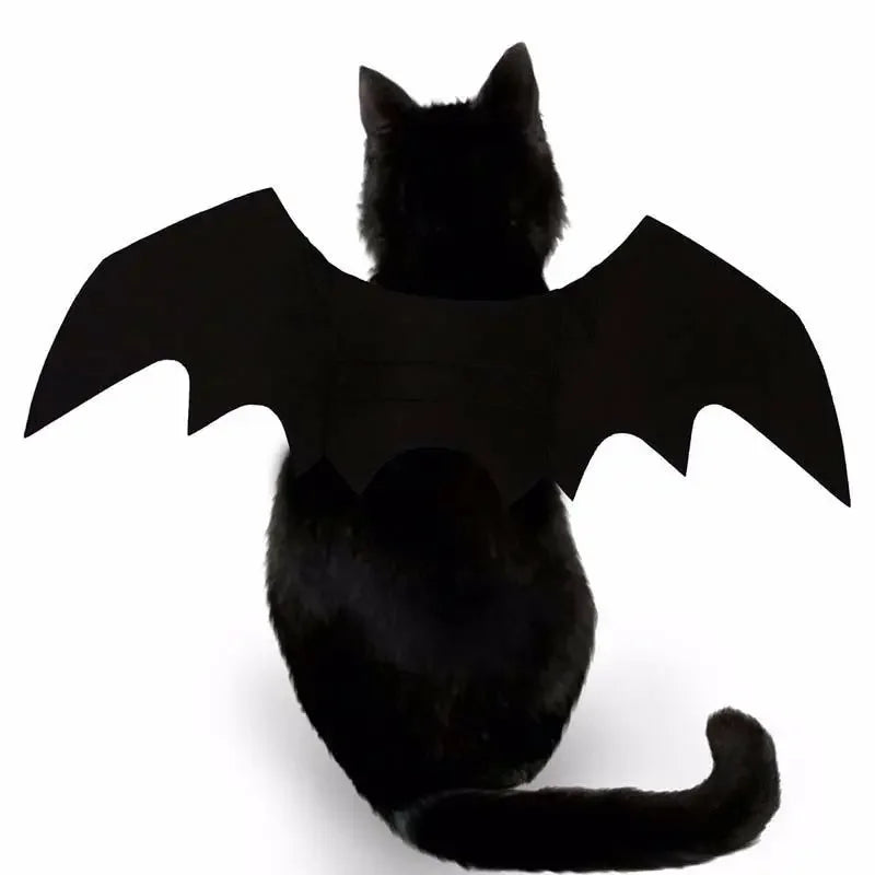 BatWing Pet Halloween Costume