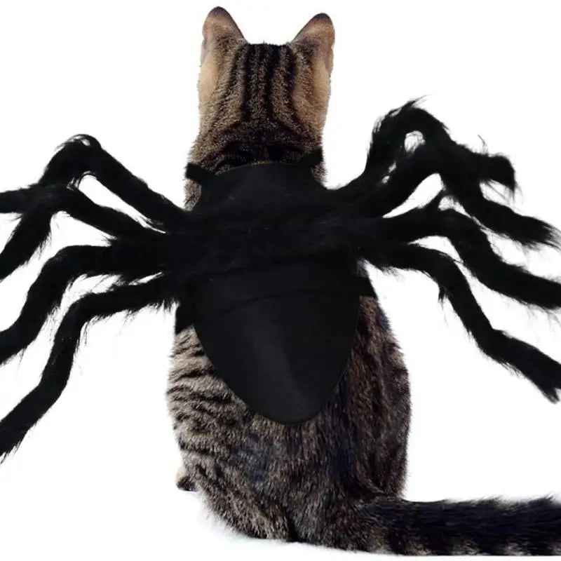 Spooky Spider Pet Costume